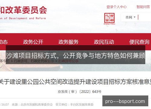 沙滩项目招标方式，公开竞争与地方特色如何兼顾